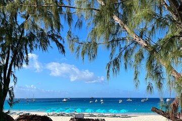 Do Romance Like a Local Experience. Bridgetown Barbados. Private.